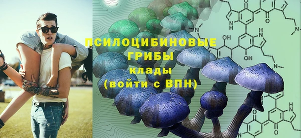 герыч Алзамай