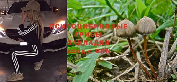 герыч Алзамай