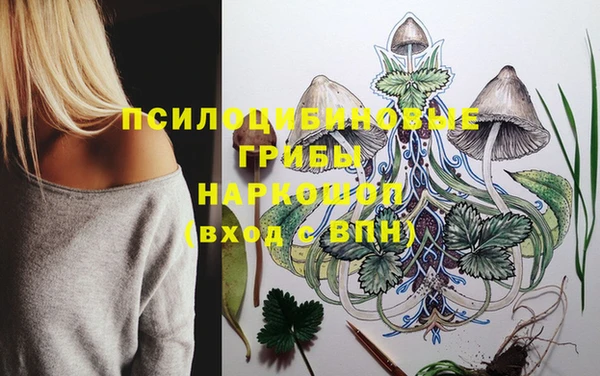 герыч Алзамай