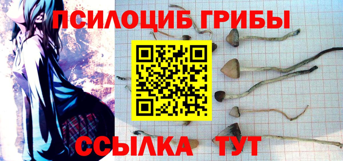 Галлюциногенные грибы Psilocybe  Псилоцибиновые грибы GOLDEN TEACHER  Новоуральск  даркнет сайт  Вход с VPN 